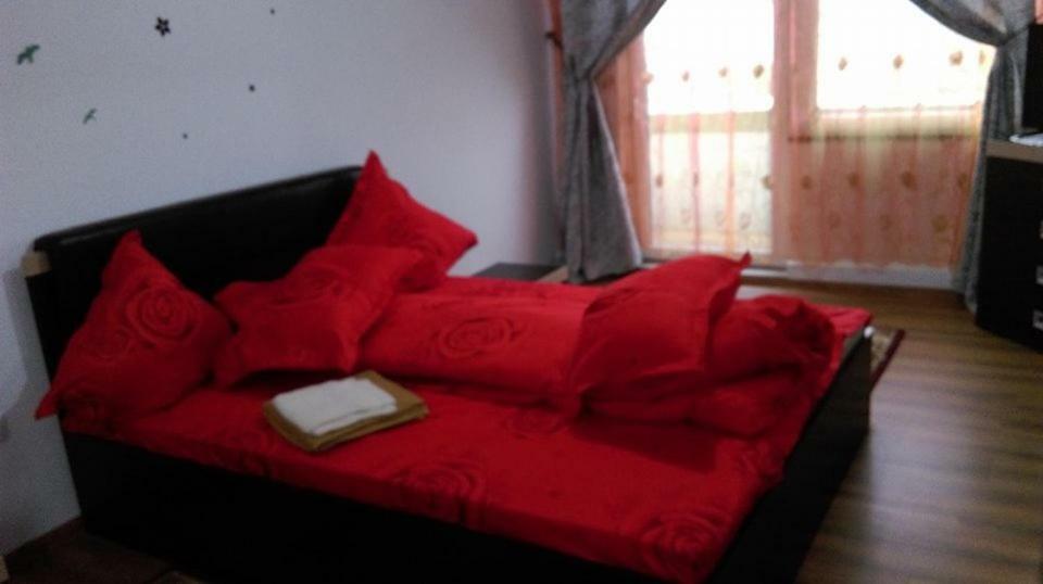 Vila Annemaryy Arbore エクステリア 写真